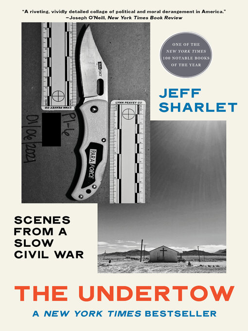 Title details for The Undertow by Jeff Sharlet - Wait list